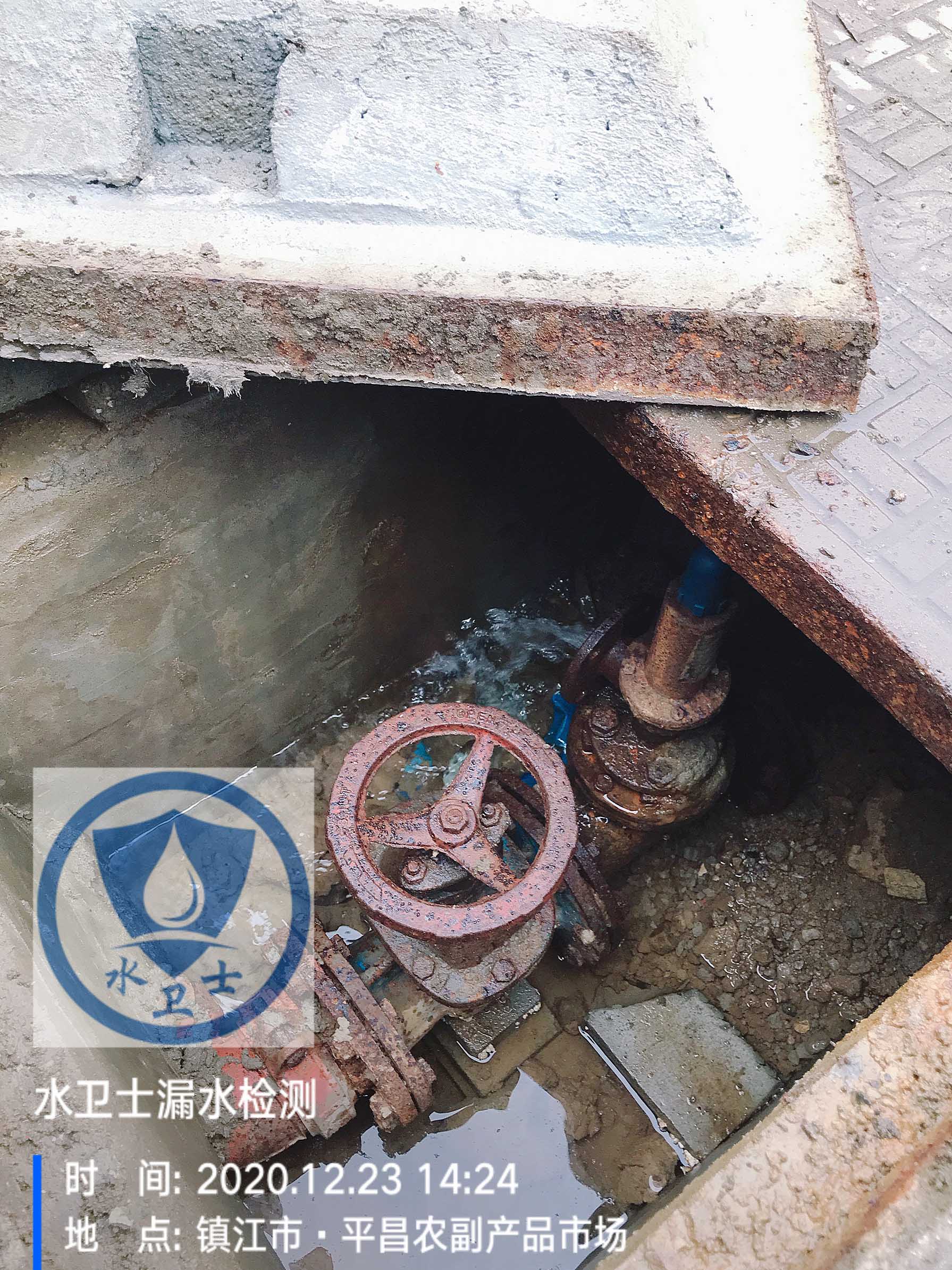 【外網測漏】鎮江平昌農貿市場